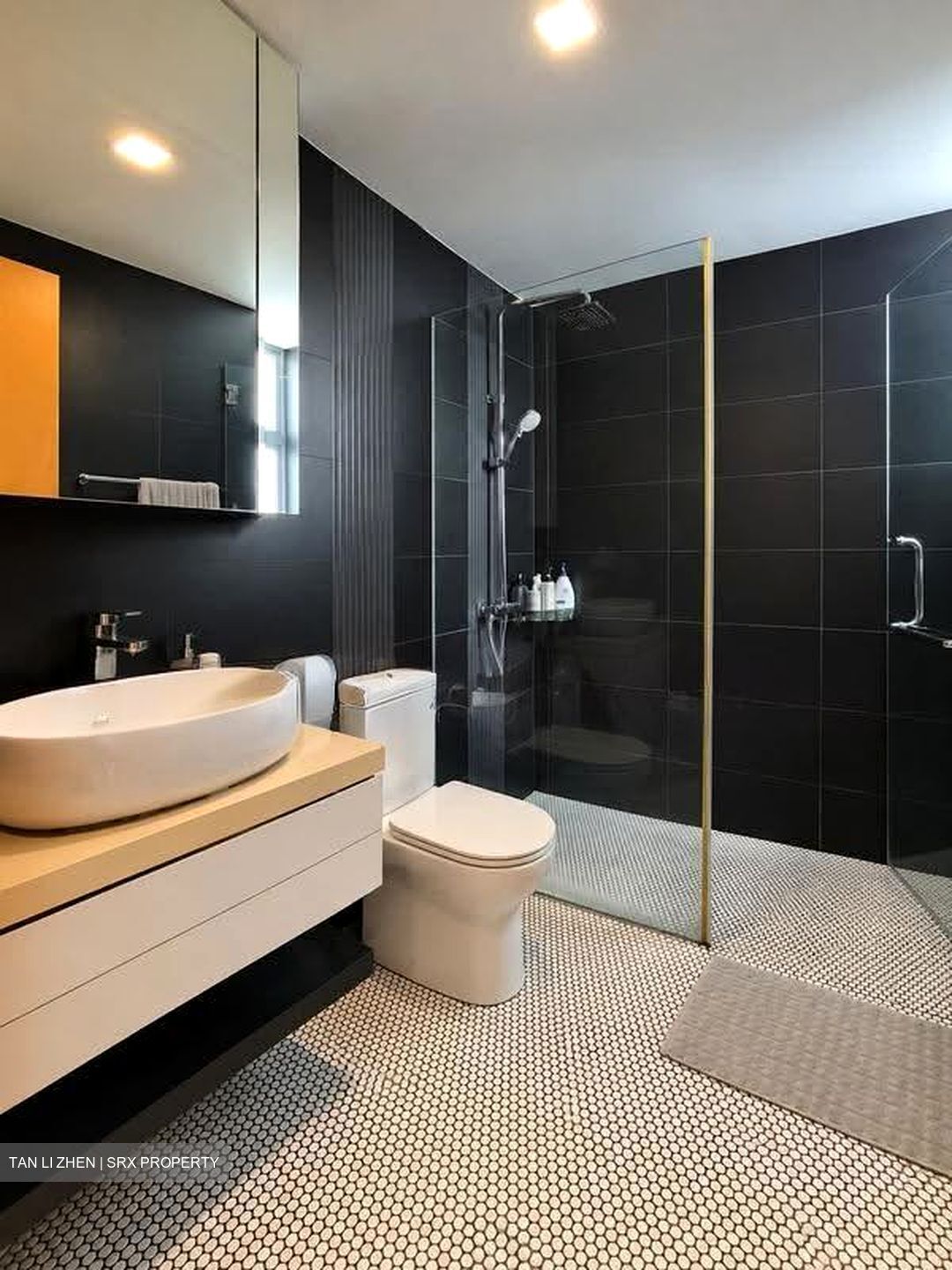 Lakeholmz (D22), Condominium #630750671